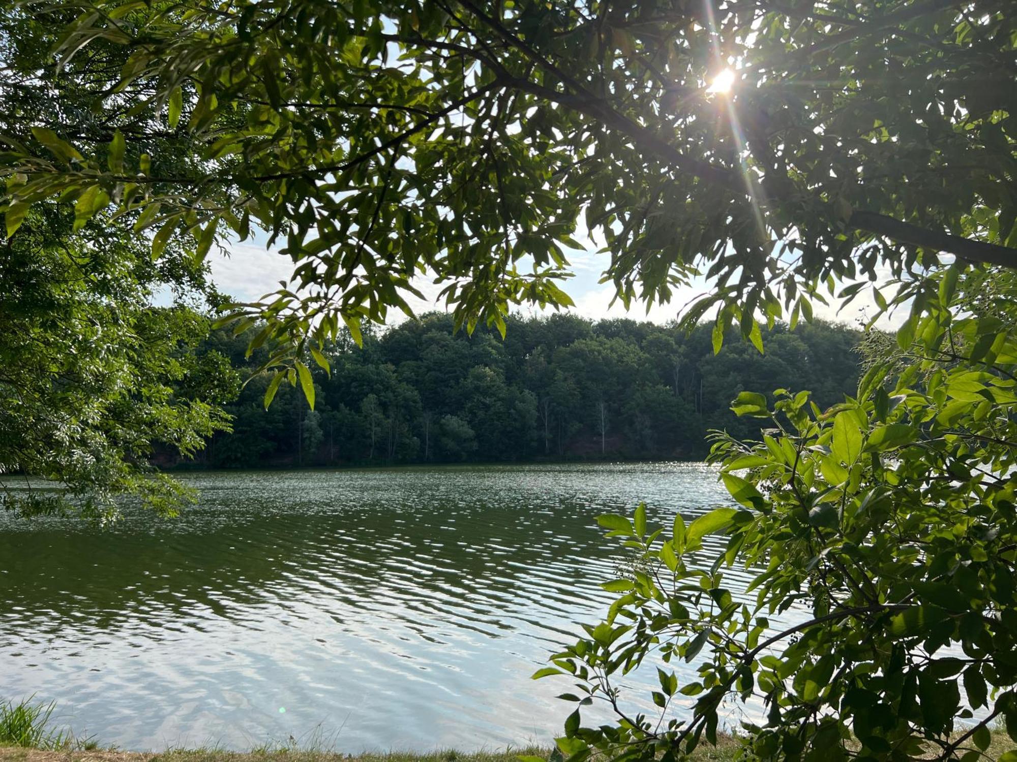 Ferienwohnungen Brenner Einchecken Und Wohlfuehlen Langenbernsdorf Dış mekan fotoğraf